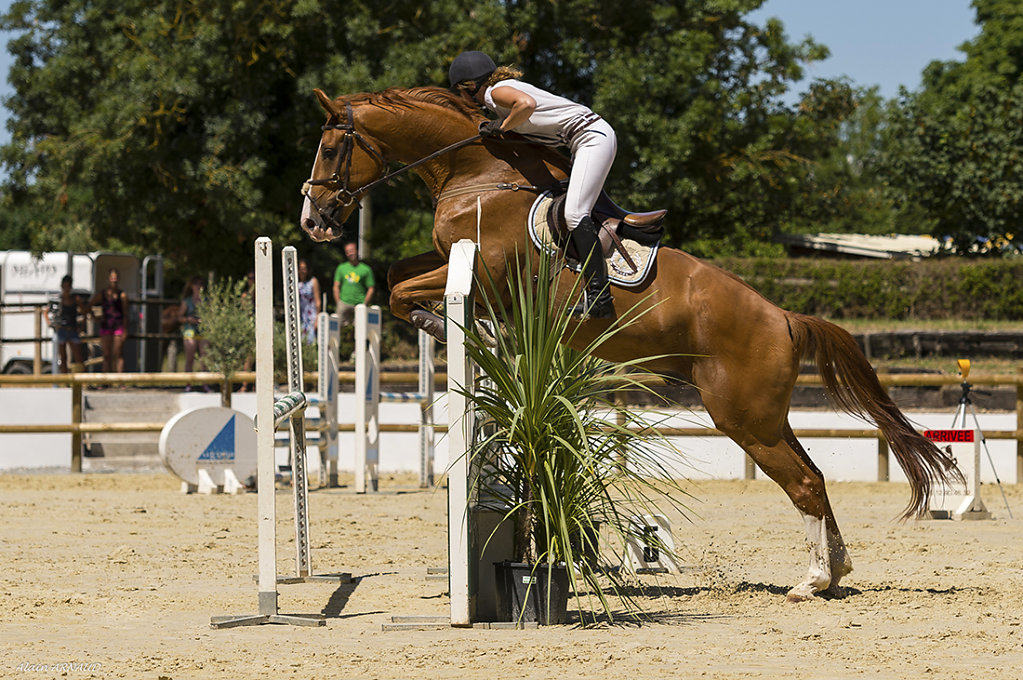 Slide-accueil-Jumping-La-Jarne-2013.jpg